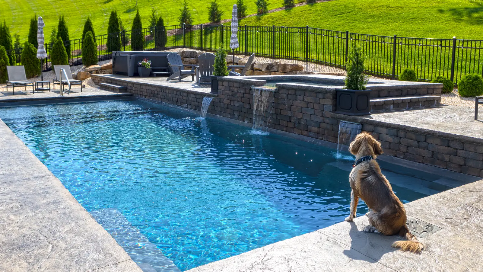 Energize Your Backyard: A Guide to Choosing the Right Pool