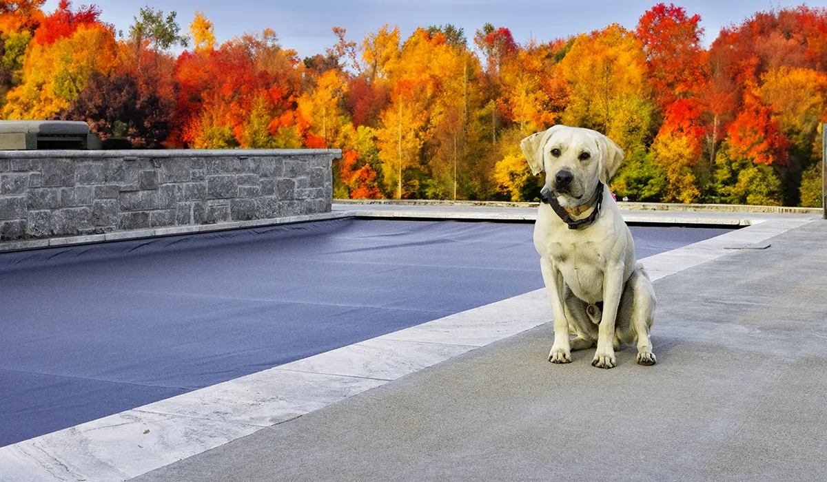 Fiberglass Pool Closing: Tips for a Leisurely Winter