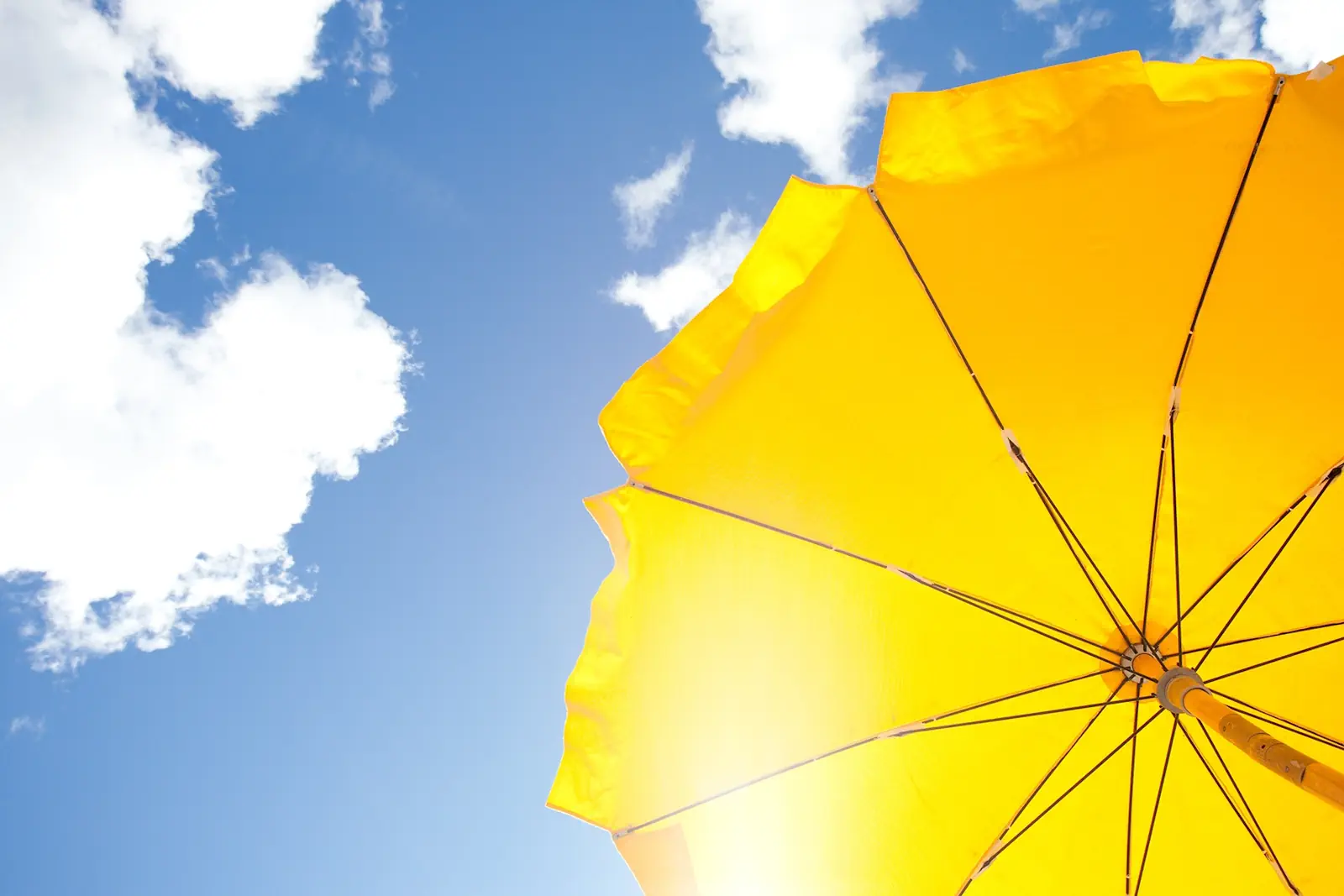Cool Yourself and Your Pool in the Summer